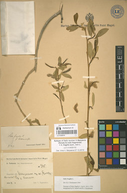 LE 01065618