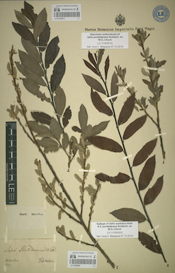 LE 01065619