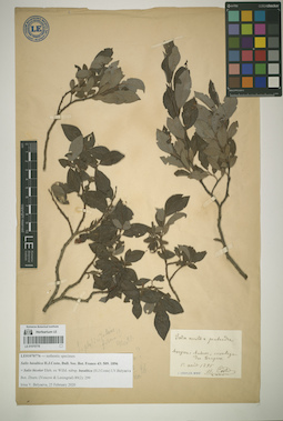 LE 01070776