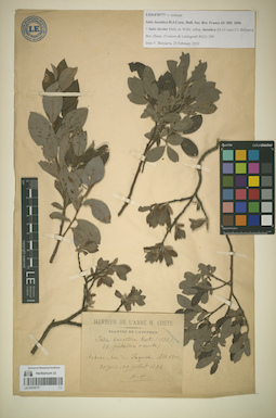 LE 01070777