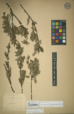 LE 01070778