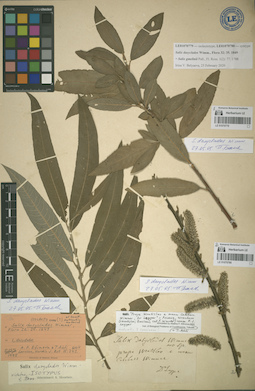 LE 01070780