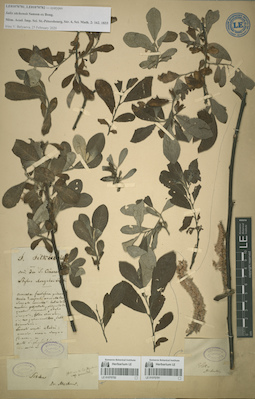 LE 01070781