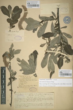 LE 01070783