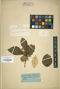 LE 01024054