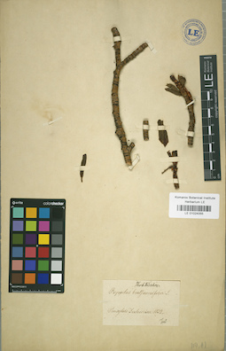 LE 01024055