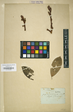 LE 01024056
