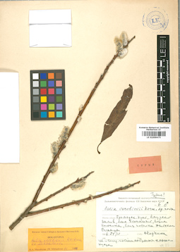 LE 01009475