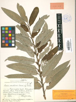 LE 01009476