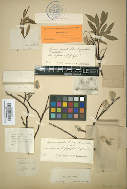 LE 01009652
