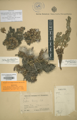 LE 01016537