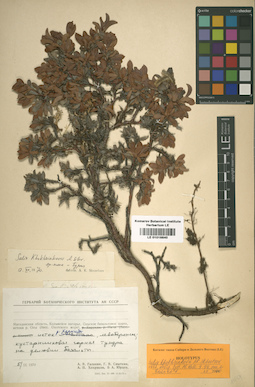 LE 01016640