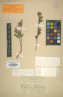 LE 01016741
