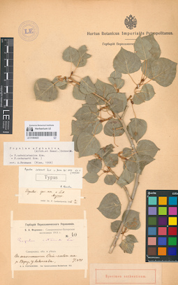 LE 01064423