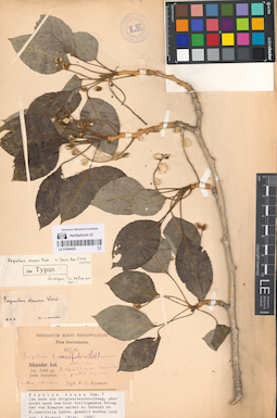 LE 01064425