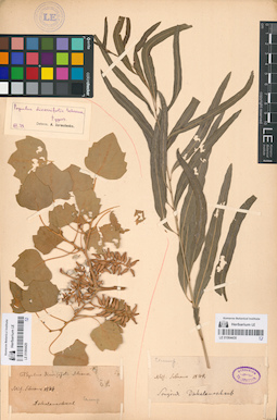 LE 01064429