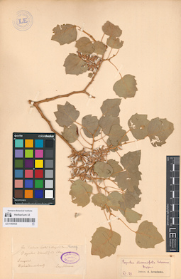 LE 01064435