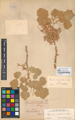 LE 01064436