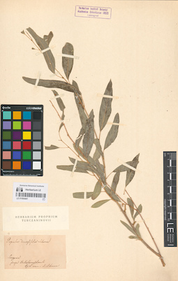 LE 01064441