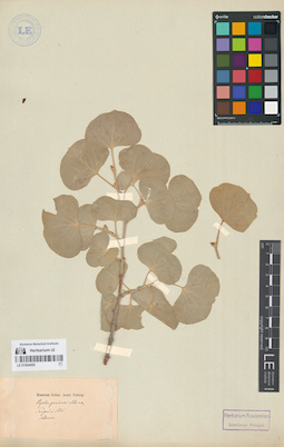 LE 01064450