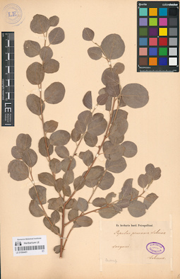 LE 01064451