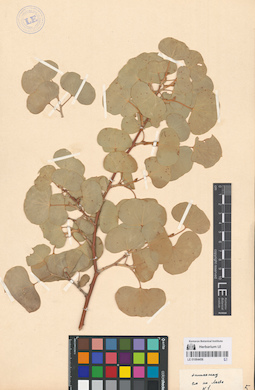 LE 01064456