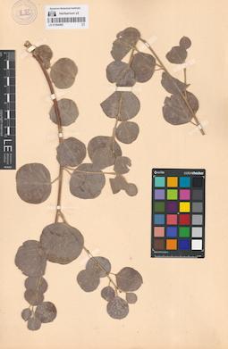 LE 01064460