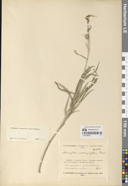 LE 01294245