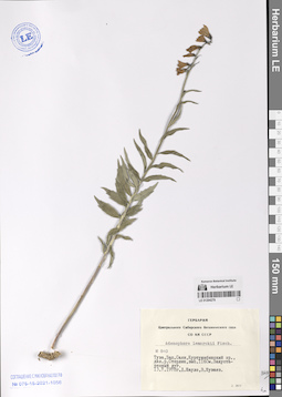LE 01294279