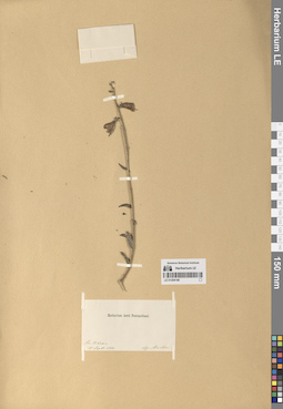 LE 01294198