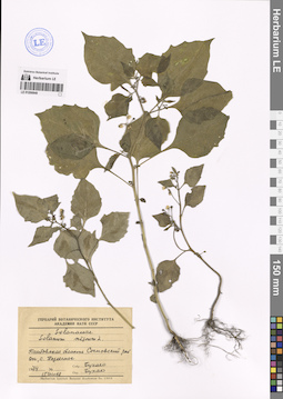LE 01200848