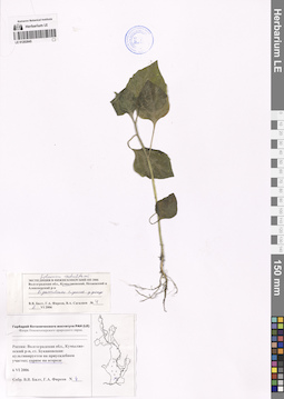 LE 01202845