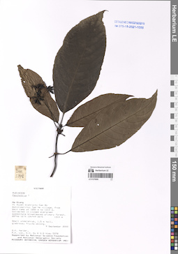 LE 01276606