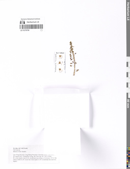 LE 01276700