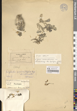 LE 01150219