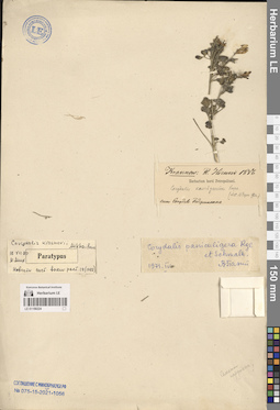 LE 01150224