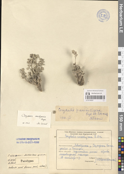 LE 01150227