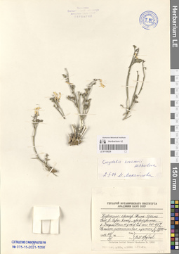 LE 01150229