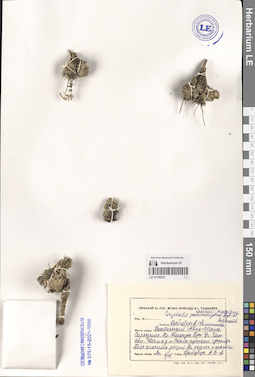 LE 01150232