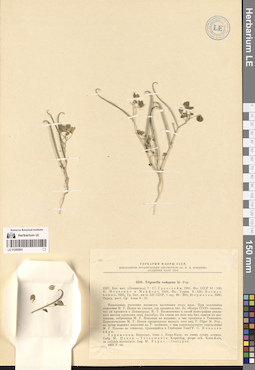 LE 01280891