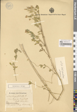 LE 01280902