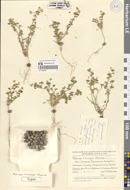 LE 01280932