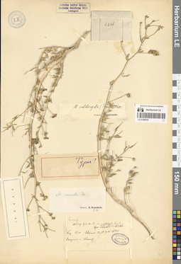 LE 01280935