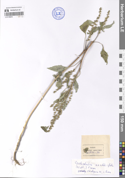 LE 01199219