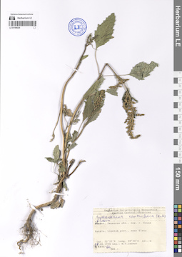 LE 01199220