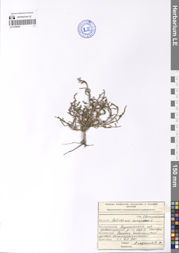 LE 01200434