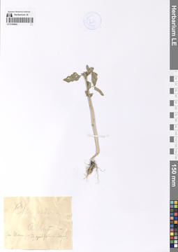 LE 01200604