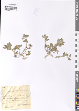 LE 01200607