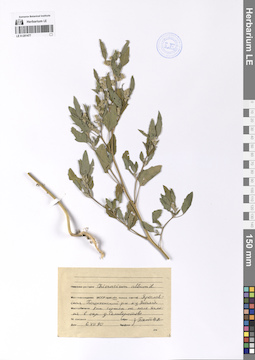 LE 01201477