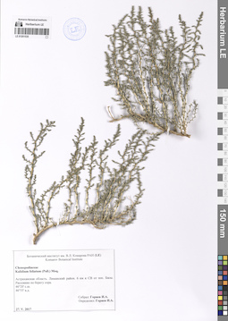 LE 01201535